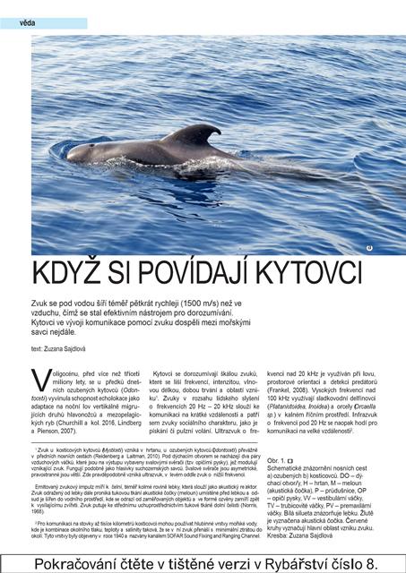 RY08_88-90 kytovci NEW1.jpg